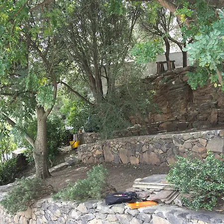 Palmasere's Apartment