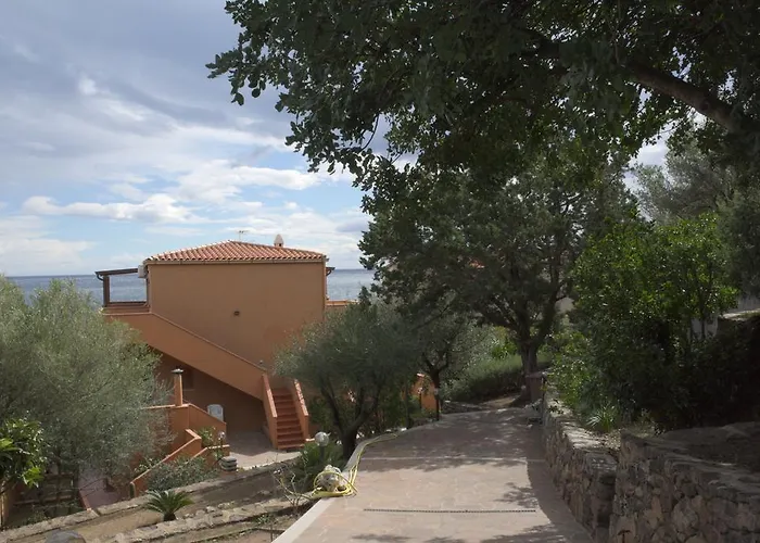 Palmasere's Apartament